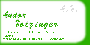 andor holzinger business card